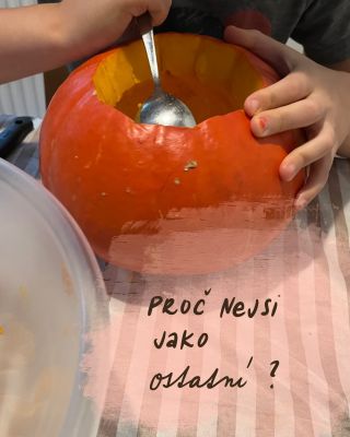 Sedíme s T. u stolu a dlabeme dýni. 🍁 Je už pár dní listopad a mě najednou přepadnou výčitky, co jsem to za mámu, že ani...