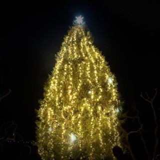 Adventní úkol č. 8 🌘 Když se setmí, oblékněte se, chyťte se za ruce a vydejte se za světýlky. ✨ Nemusí to být nic...